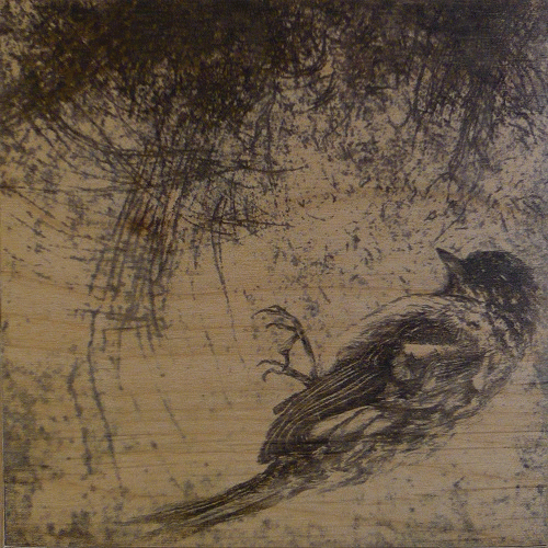 Corrosions of Traveled Daydreams